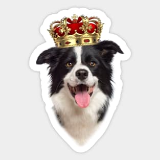 Border Collie Royal Dog With Crown King Sticker